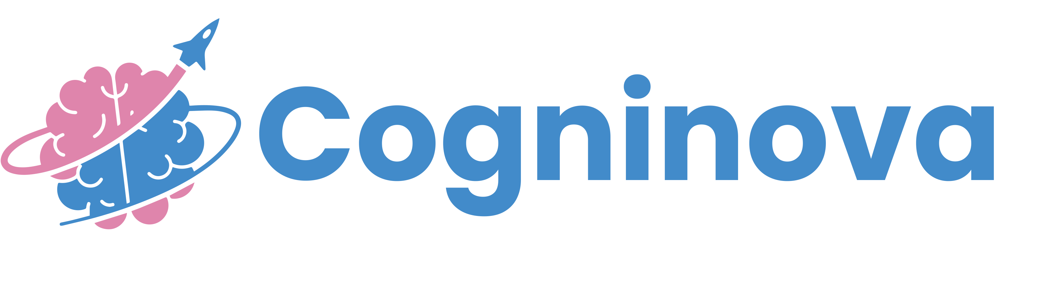 Cogninova Solutions Logo